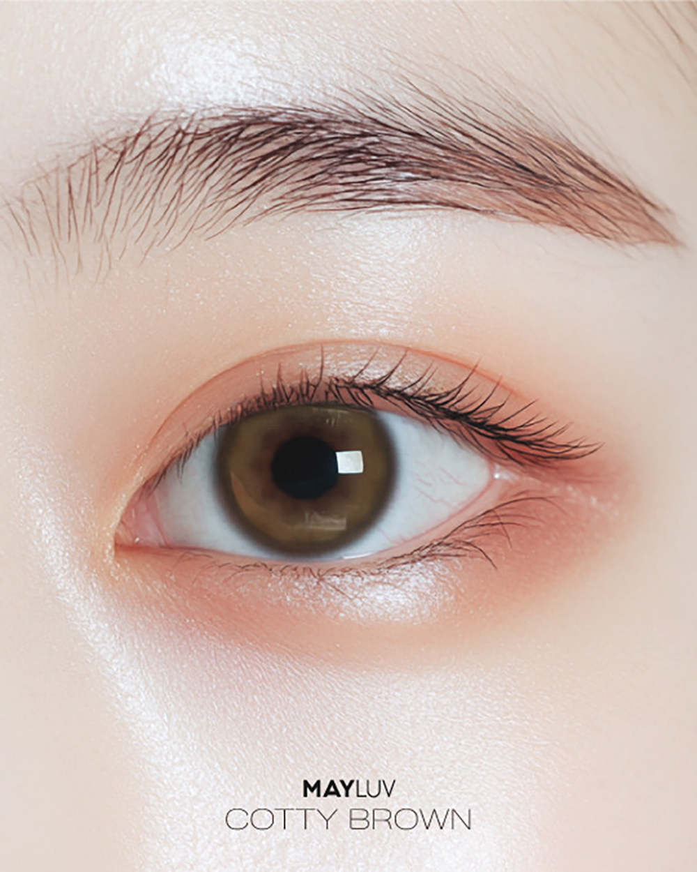 메이러브 코티 브라운(1+1)